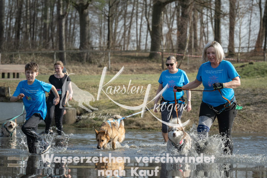 1341_ZZ97722 | kk-dogfotos
