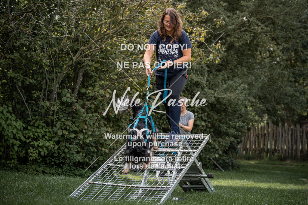 nelerasche_SoLauf_177 | nelerasche