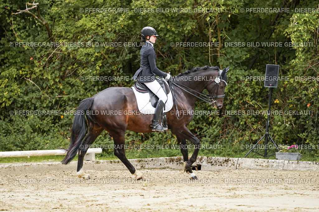 DSC03959 | Pferdegrafie