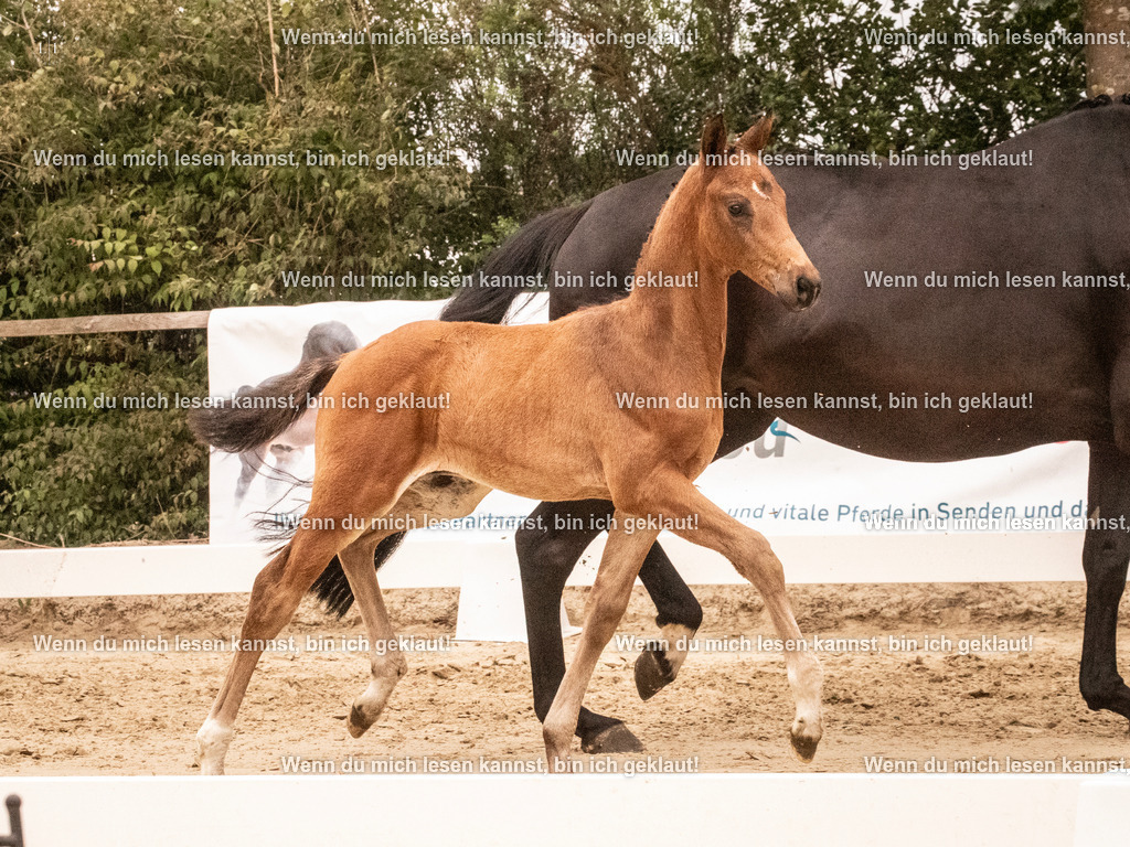 A10I0872 | photographylinaismer - Realisiert mit Pictrs.com