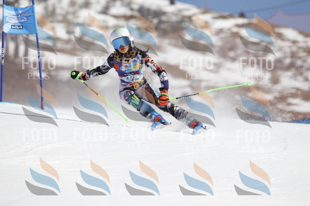 _U3G8685 | holidayphoto