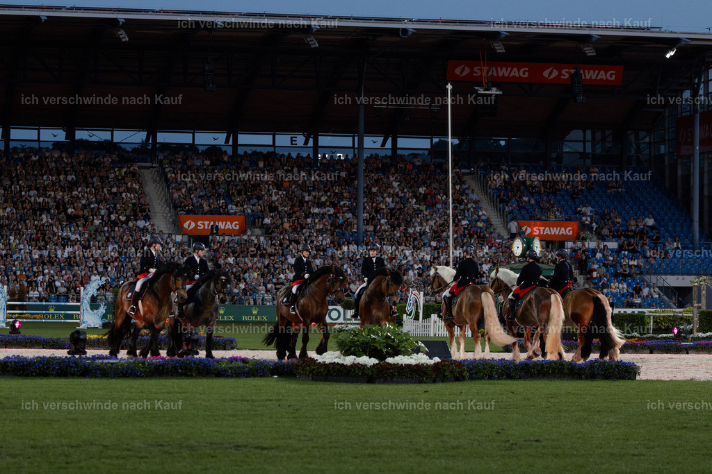 TSCHIO26_PferdundSinfonie_StoibphotographyTSCHIO26_Pferd-Sinfonie_Stoibphotography_AM11481.CR3.jpg | working equitationturnier fotograf videograf stoibphotography marixx film working equitation deutschland reitsport turnierfotografie eventfotografie equestrian events