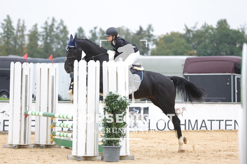 0P6A2186 | Willkommen bei Brunnmayr - Design & Fotografie – Ihrem Spezialisten für Reitturniere und Pferdeveranstaltungen in Oberösterreich, Salzburg und Bayern! Seit über 17 Jahren sind wir leidenschaftlich dabei.