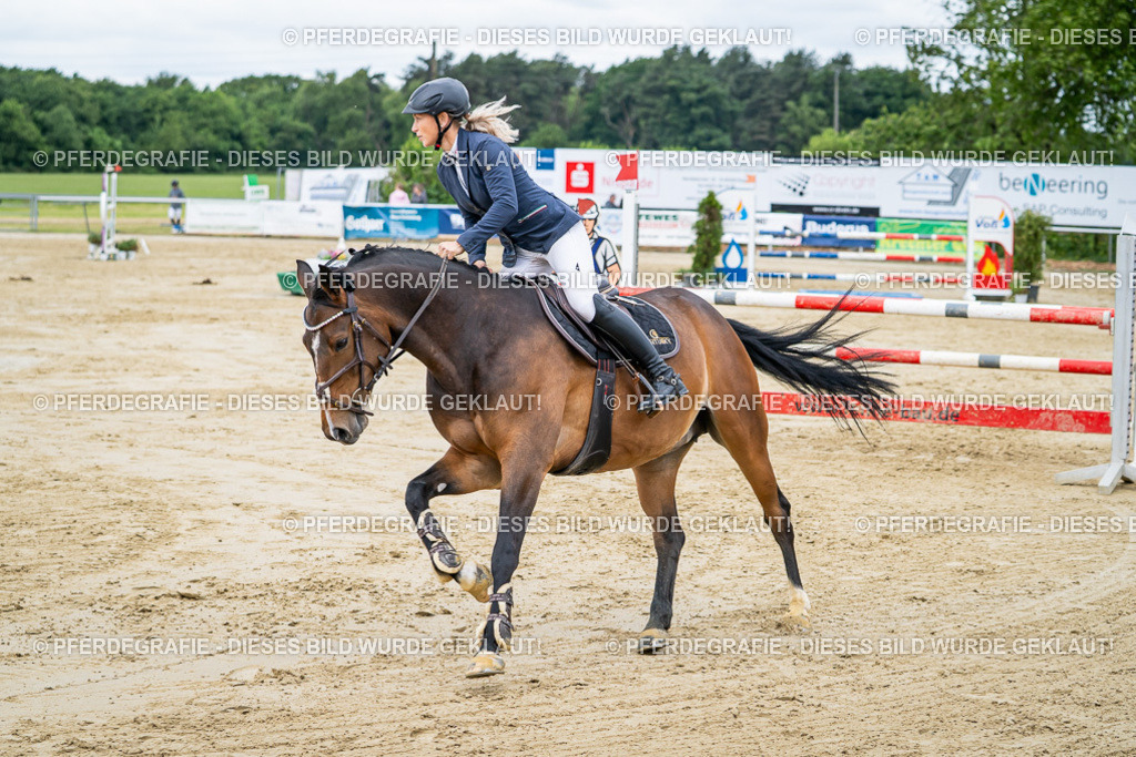 DSC04529 | Pferdegrafie