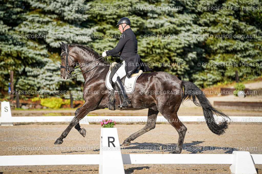 DSC00795 | Pferdegrafie