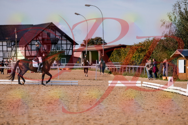 2026_10_03_Siefer-Hof_122827_Z81_26904831 | Professionelle Reitsport-, Turnier- und Eventfotografie von Robert Broda. Galerien mit ausgewählten und bearbeiteten Bildern direkt online ansehen und bestellen.
