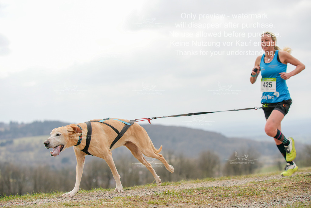 CaniXRunSA-158 | stephaniefillaphotographie - Realisiert mit Pictrs.com