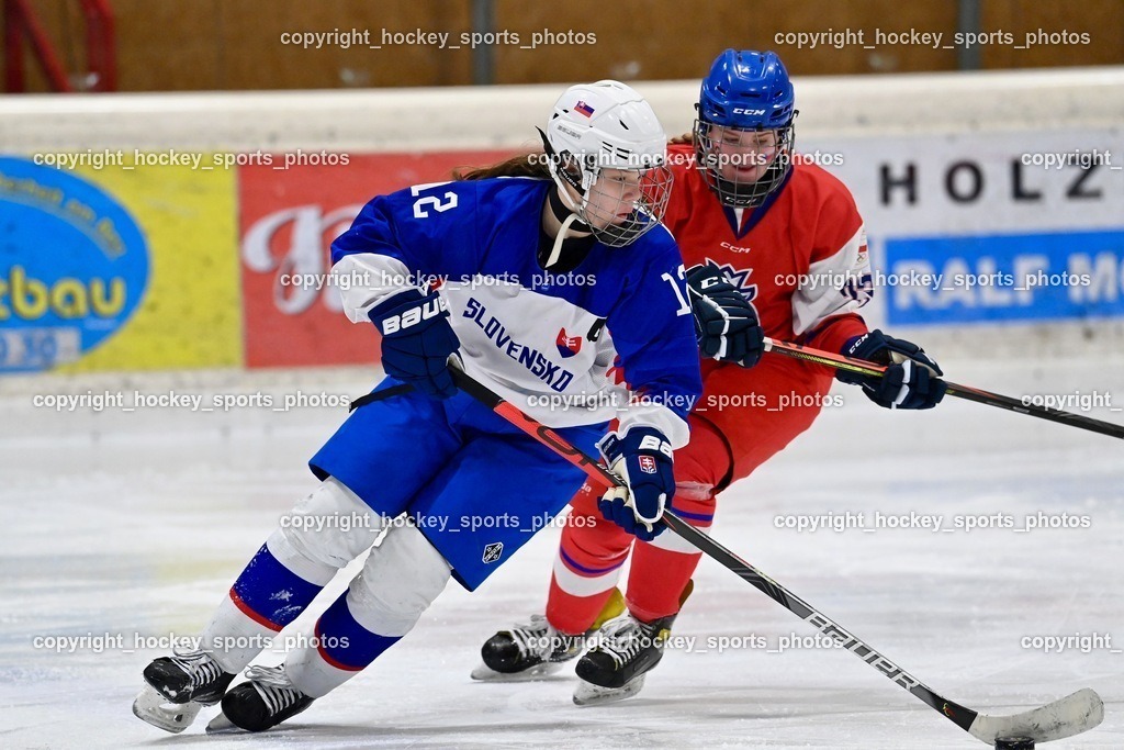 BST_6013 | hockey sports photos, Pressefotos, Sportfotos, hockey247, win 2day icehockeyleague, Handball Austria, Floorball Austria, ÖVV, Kärntner Eishockeyverband, KEHV, KFV, Kärntner Fussballverband, Österreichischer Volleyballverband, Alps Hockey League, ÖFB, 