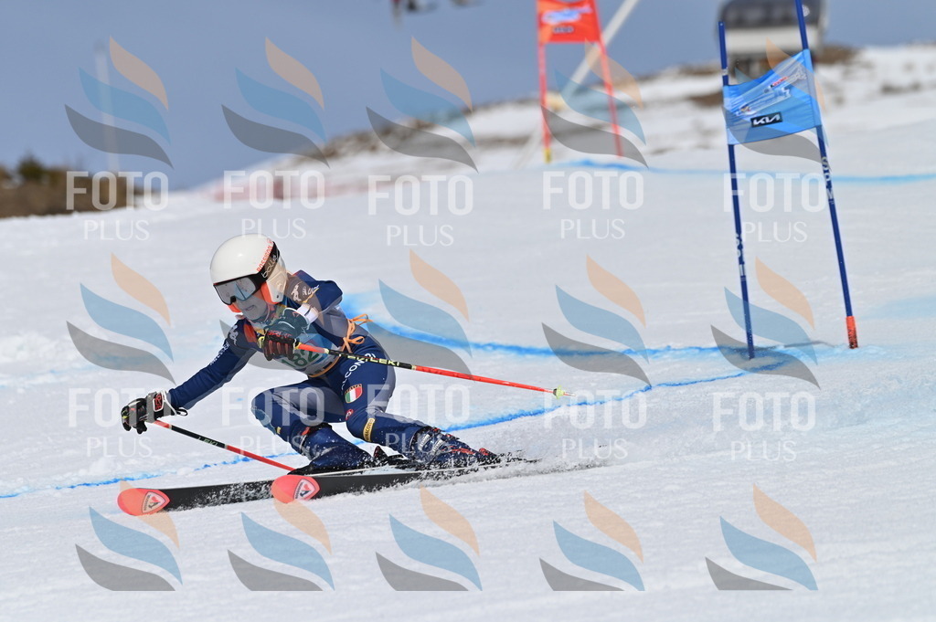 BGV_3575 | holidayphoto