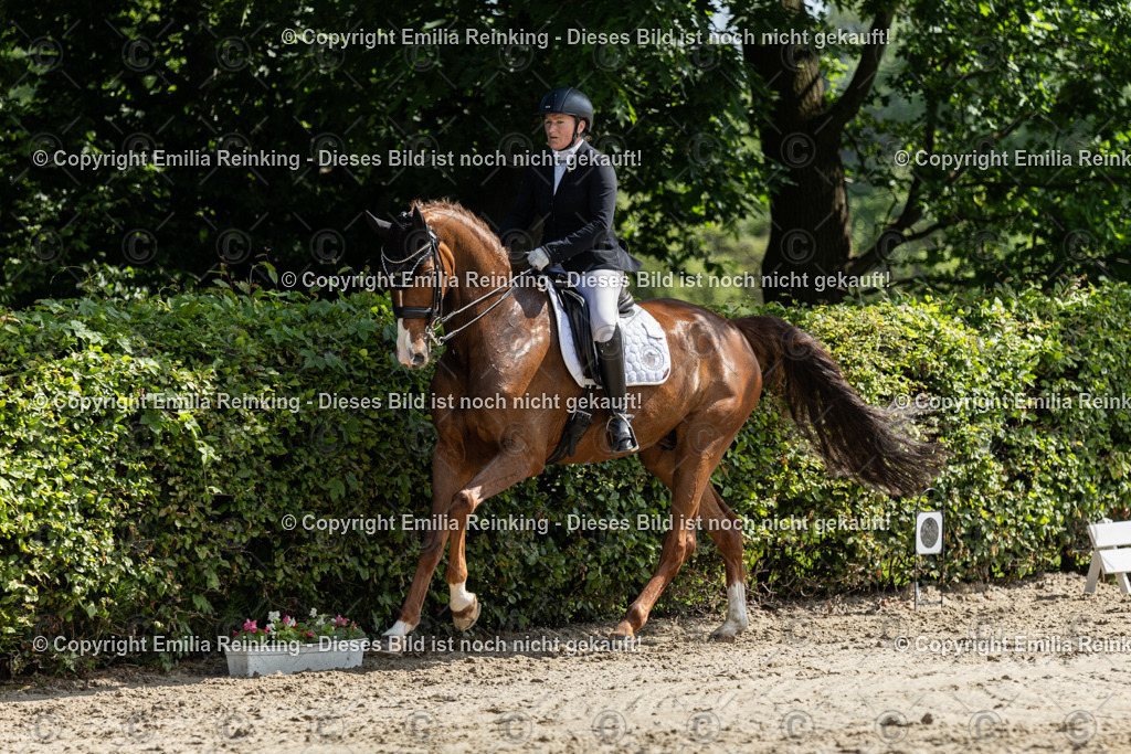 CL5A7481 | Emilia Reinking Fotografie - Realisiert mit Pictrs.com