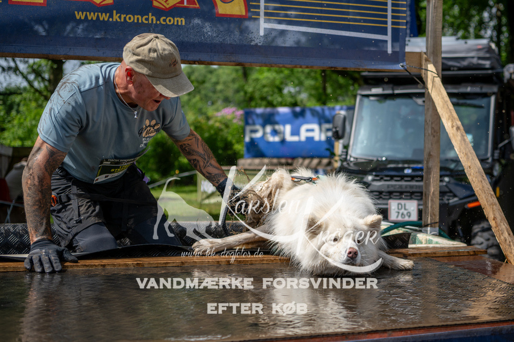 1105_ZZ92747 | kk-dogfotos