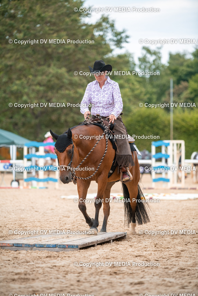 ZS2_8146 | dv-media-shop - Realisiert mit Pictrs.com