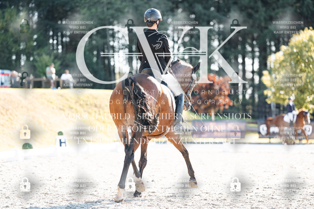 CK906736 | Turnierfotografie Pferdefotografie Trier Rheinland-Pfalz Pferdesport Reitsport Tierfotografie Sportfotografie Pferdevideo Pferdevideografie Equestrianvideography equestrianphotography  - Realisiert mit Pictrs.com