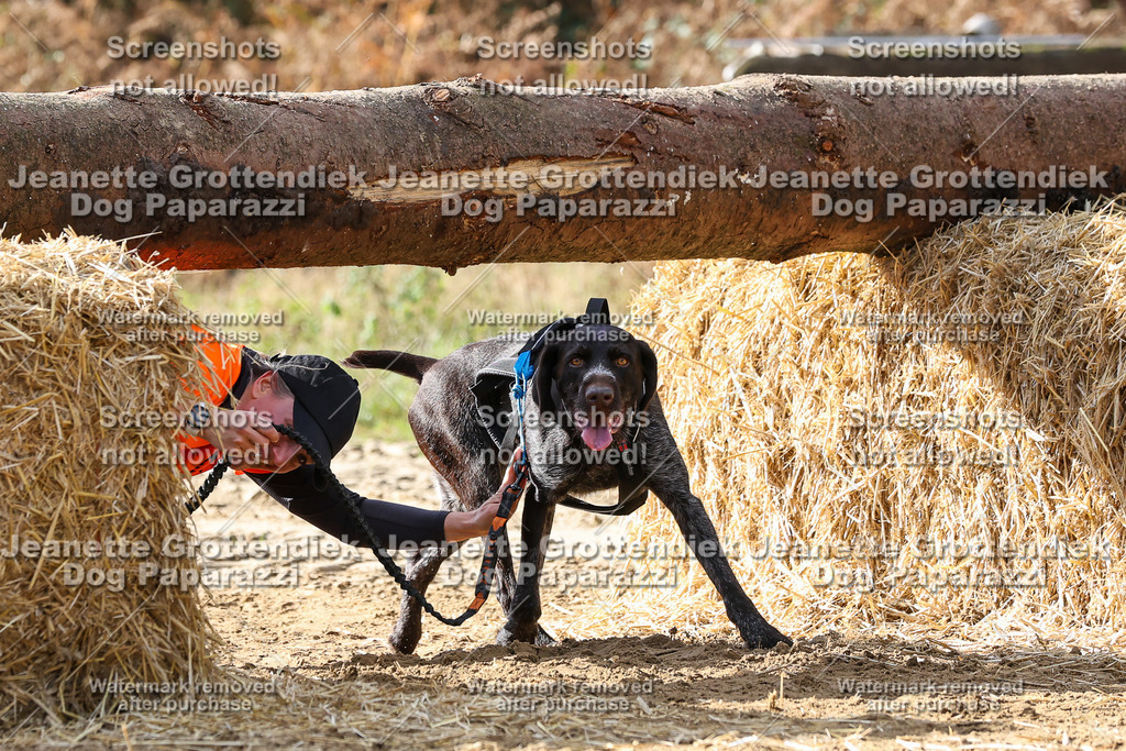 Dog Paparazzi - Strongdog 10-25-5698 | Dog Paparazzi Jeanette Grottendiek Fotografie & Videografie - Realisiert mit Pictrs.com