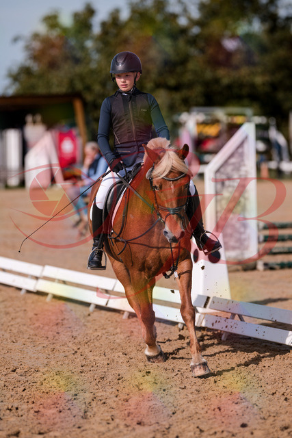 2026_10_03_Siefer-Hof_120032_Z81_02482389 | Professionelle Reitsport-, Turnier- und Eventfotografie von Robert Broda. Galerien mit ausgewählten und bearbeiteten Bildern direkt online ansehen und bestellen.