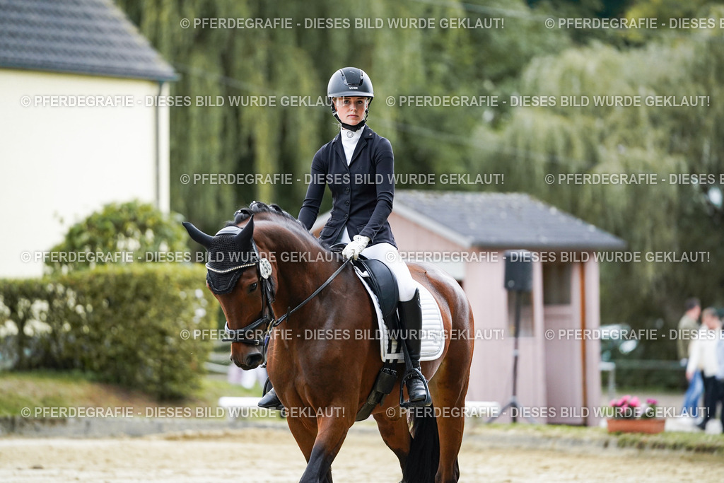 DSC06202 | Pferdegrafie