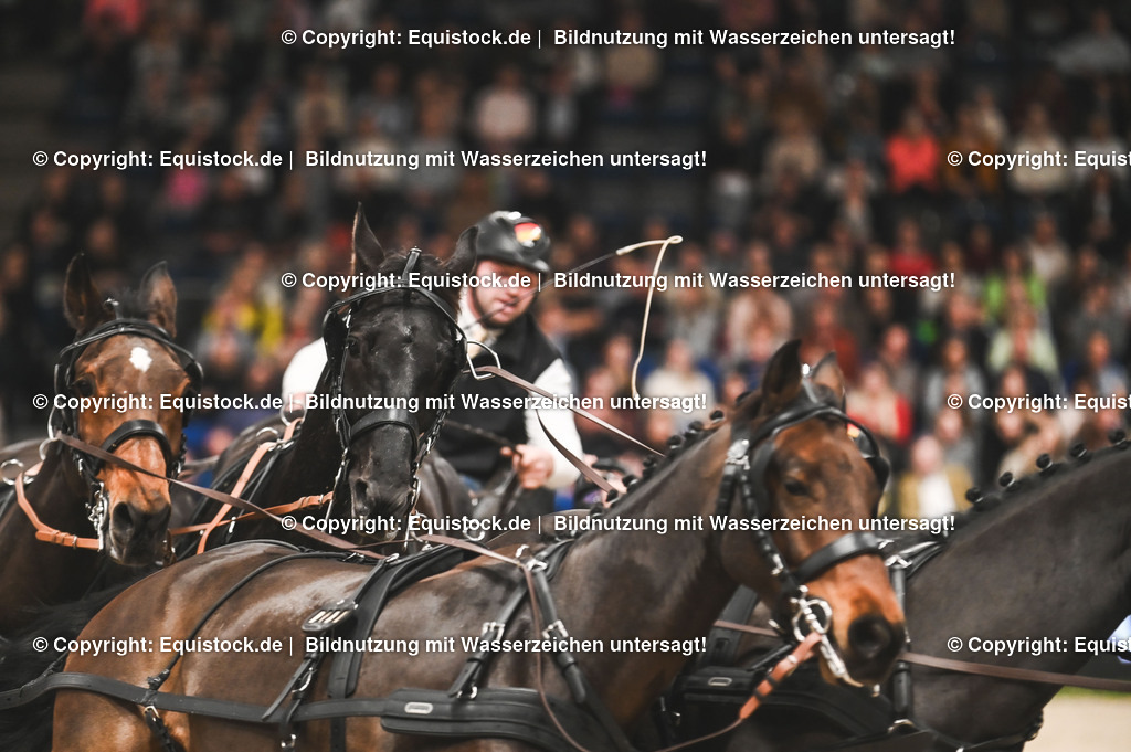 20241116_Fahren-Masterhorse_TOMsPiC_0142 | Foto: Thomas Hartig
