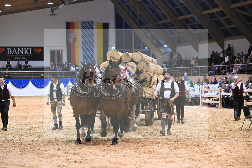 Schauprogramm_54222548 | hf-fotografie - Realisiert mit Pictrs.com
