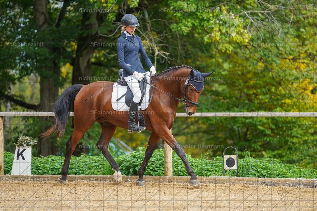 20221007-FAH09885 | Diessen am Ammersee, 2022, Dressur- und Springturnier, Reitsportbilder, Turnierfotografen Bayern, Pferdefotografen, Fotoagentur Herrmann, Turnierbilder