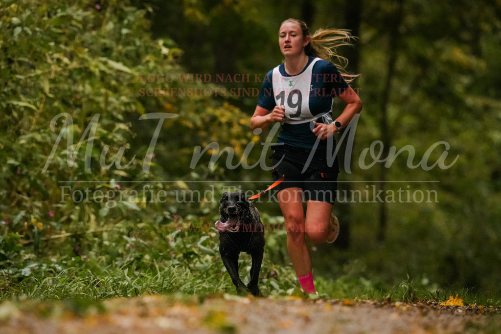 20251005_THS_Turnier-162 | MuT (Mensch und Tier) mit Mona - Fotografie und Tierkommunikation - Realisiert mit Pictrs.com