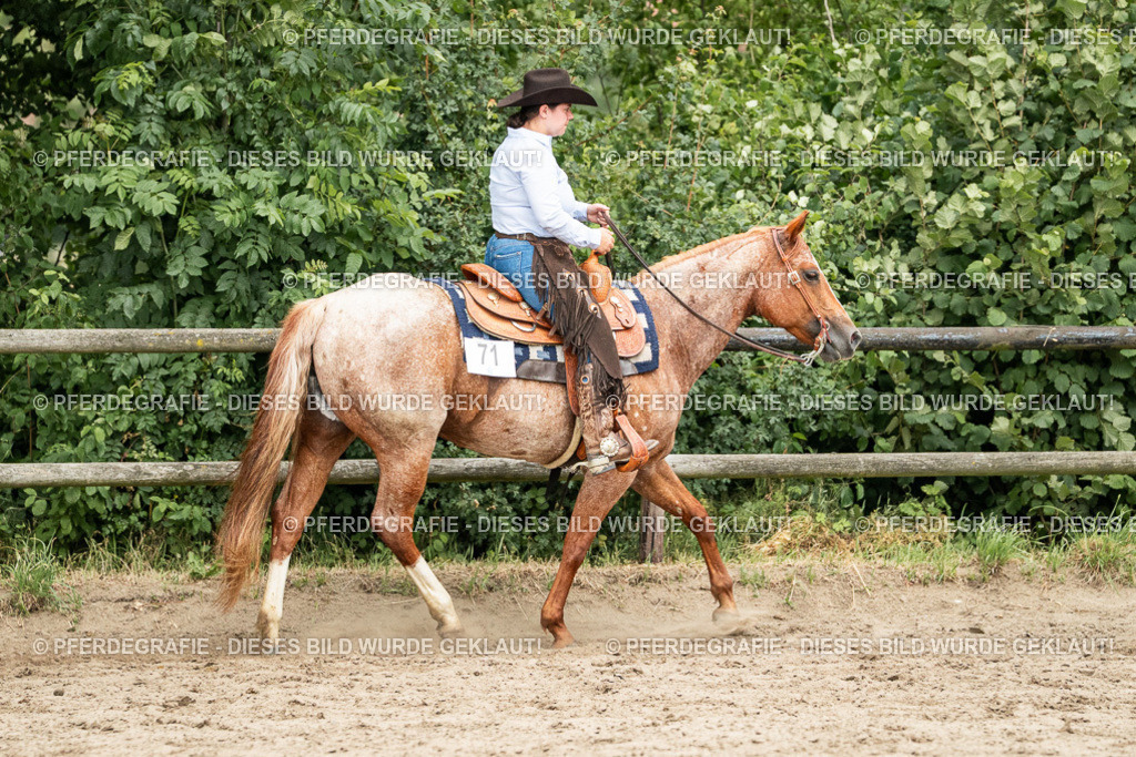 DSC04344 | Pferdegrafie