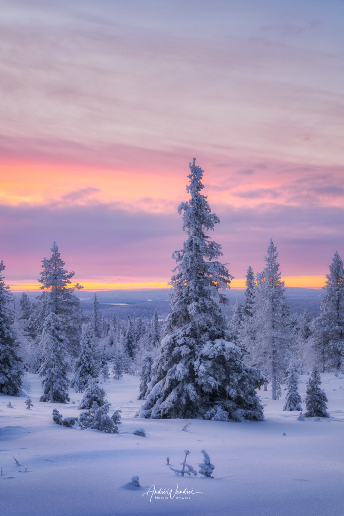 Schneewächter | Andre Wandrei - Nature Artworx - Realisiert mit Pictrs.com