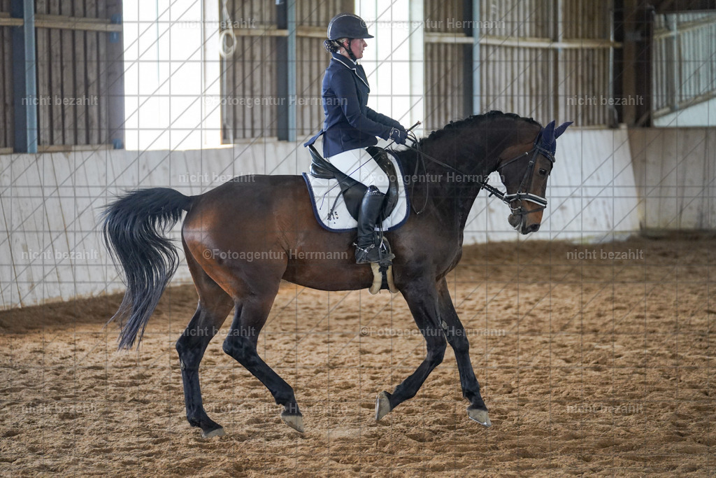 20230520-FAH05510 | Frühjahrsturnier, Landsberg am Lech, 2023, Reitclub Landsberg, Turnierbilder, Fotos Turnier Landsberg, Fotoagentur Herrmann, Turnierfotografen Bayern, Reitsport Fotograf, Pferde Fotograf
