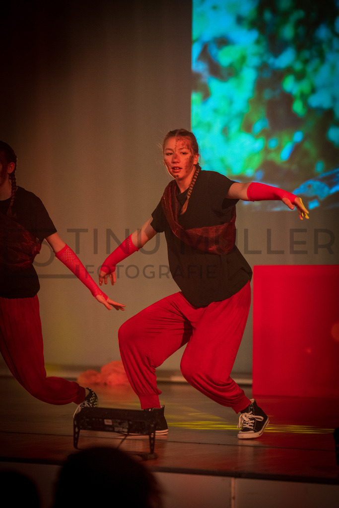 _DSC2514 | Tinu Müller Fotografie- Bildershop - Realisiert mit Pictrs.com