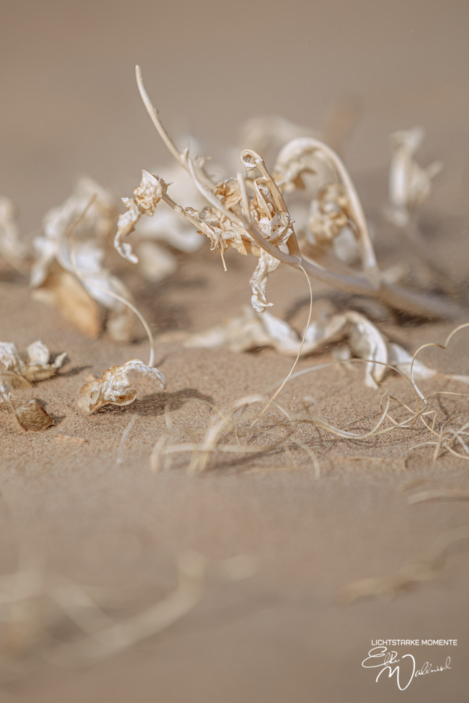 Ayaz Kala, Kizilkum, Usbekistan | Herzlich willkommen auf meiner Seite! Ich bin Elke Wallnisch, Deine Fotografin für lichtstarke Momente. Der Name steht für alles, was mich mit der Fotografie verbindet: Das Licht und seine machtvolle Wirkung auf eine Situation oder unsere Stimmung - Realisiert mit Pictrs.com