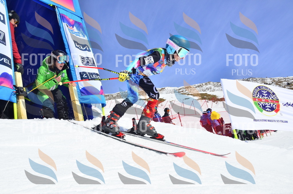 _ELE0605 | holidayphoto