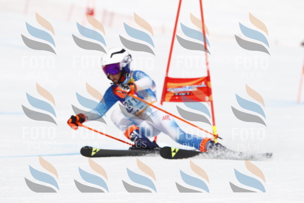 _U3G6124 | holidayphoto