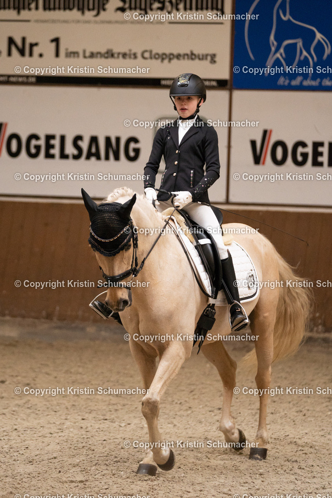 Dressurwettbewerb-16 | Kristin Schumacher Photography