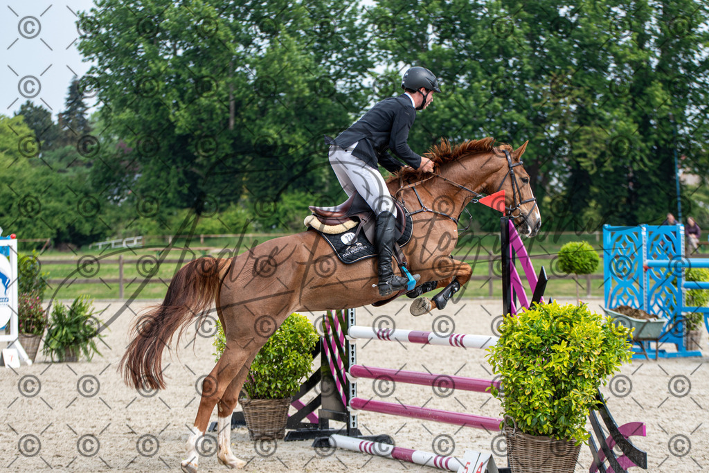 KPT_2695 | andre_photographic