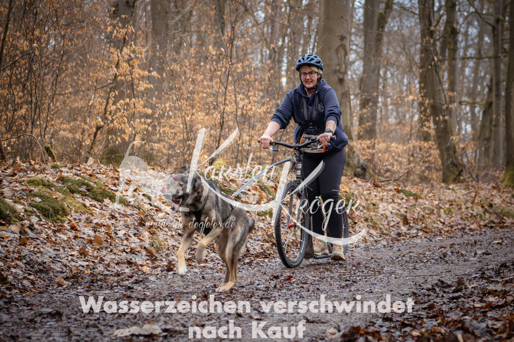 0901_ZZ95004 | kk-dogfotos