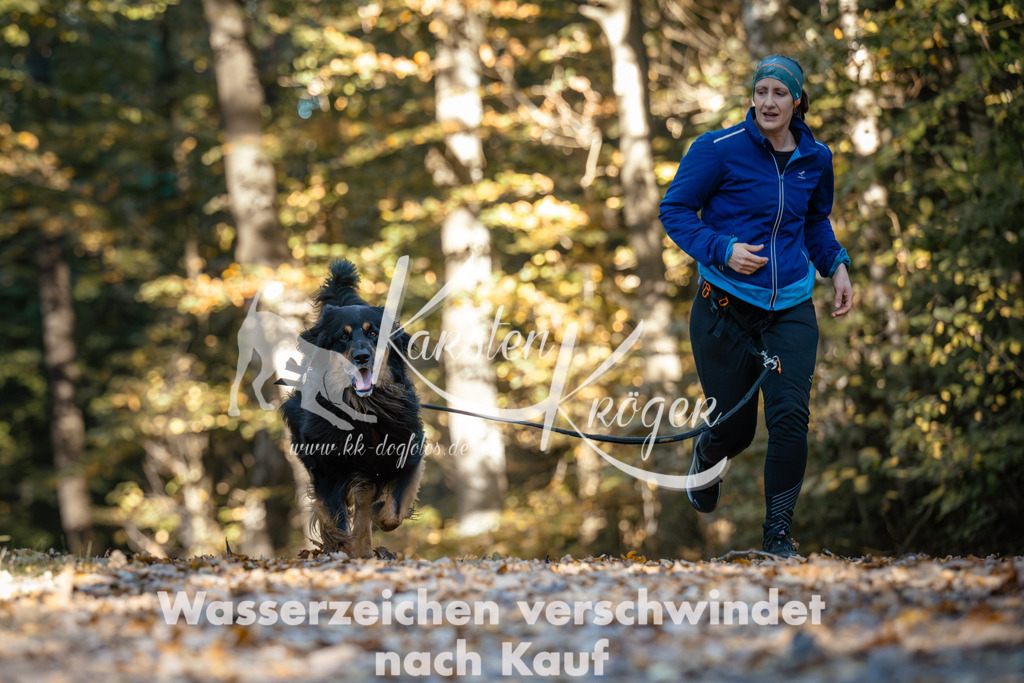 1019_ZZ99653 | kk-dogfotos