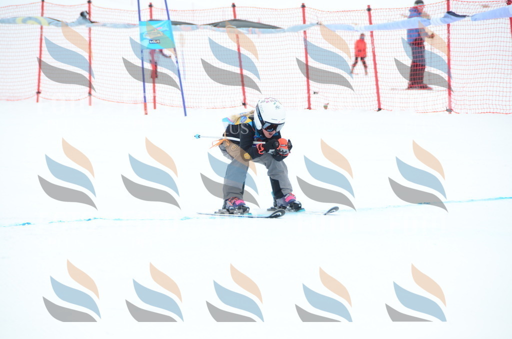 DSC_1048 | holidayphoto