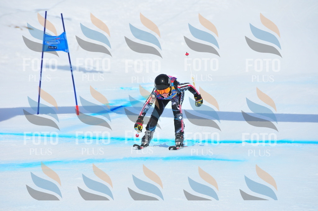 DSC_5633 | holidayphoto