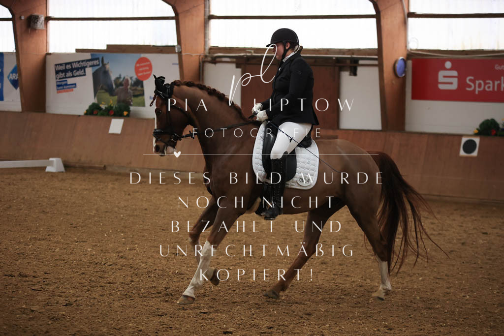 IMGT8888 | pl-fotografie