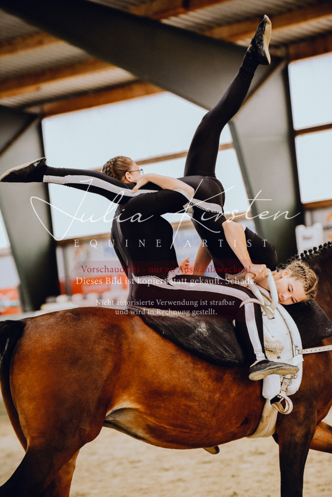 DSC_6909 | Pferde- und Turnierfotografie in Westsachsen. Pferdeportraits, Auftragszeichnungen und intuitive Kunst.