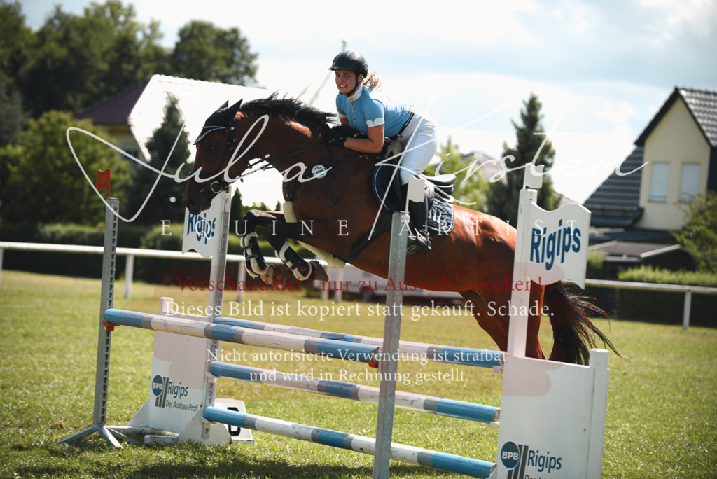 DSC_6513 | Pferde- und Turnierfotografie in Westsachsen. Pferdeportraits, Auftragszeichnungen und intuitive Kunst.