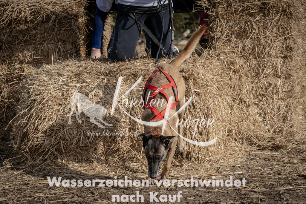 1207_ZZ93500 | kk-dogfotos