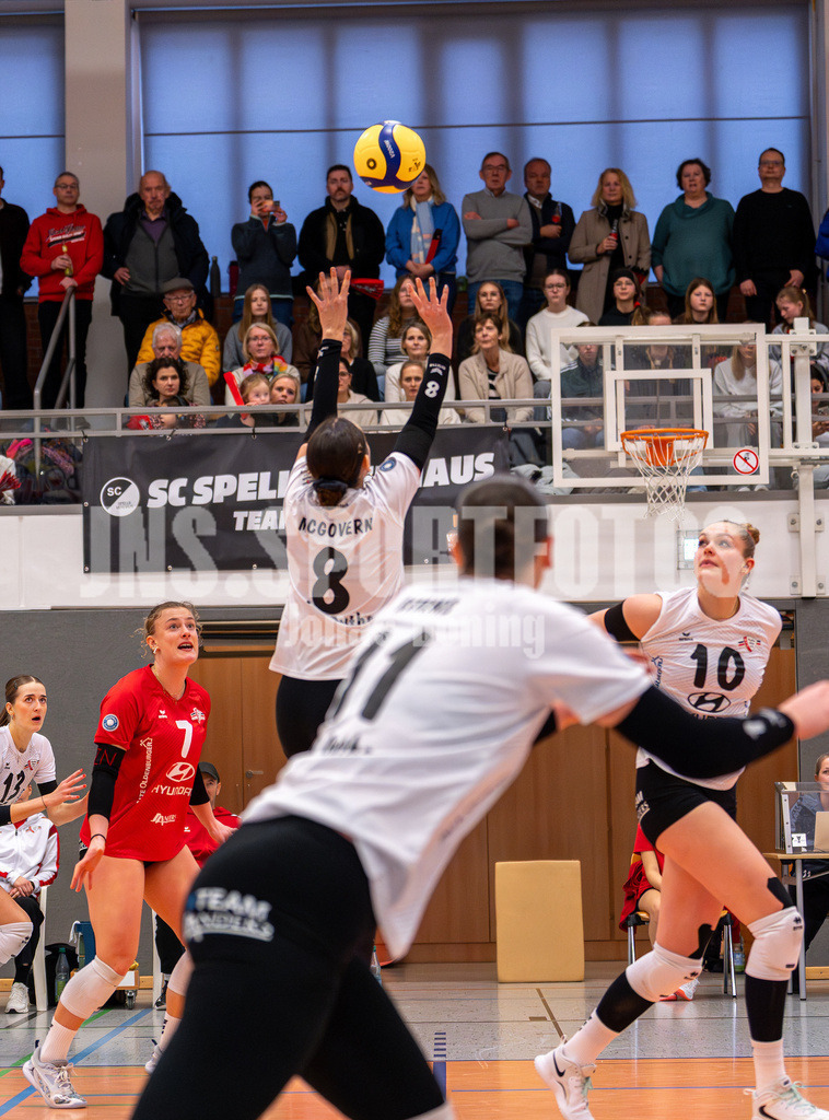Volleyball I Frauen I Saison 2025-2026 I 2 Bundesliga Pro I 17. Spieltag VFL Oythe - VC Stralsund I 1581 | Georgia McGovern (8,VFL Oythe) legt vor - Realisiert mit Pictrs.com