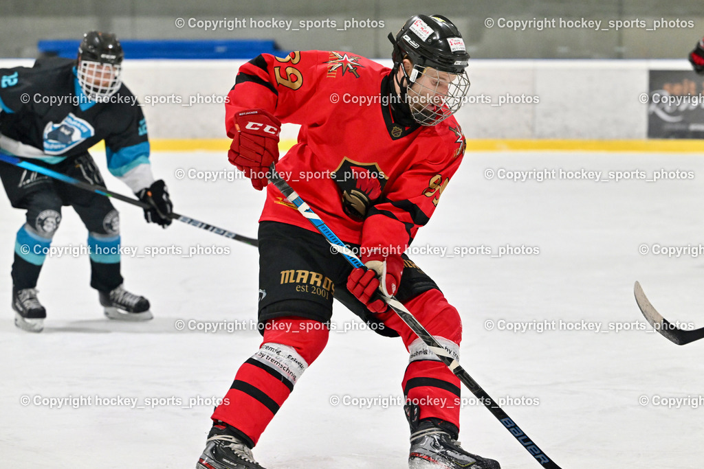 Lendhafen Seelöwen vs. Spartans Althofen | #89 Pirmann Markus Spartans Althofen, Lendhafen Seelöwen vs. Spartans Althofen, Lendhafen Seelöwen vs. Spartans Althofen am 14.02.2025 in Ferlach (HTC Eishalle Ferlach), Austria, (Photo by Bernd Stefan)