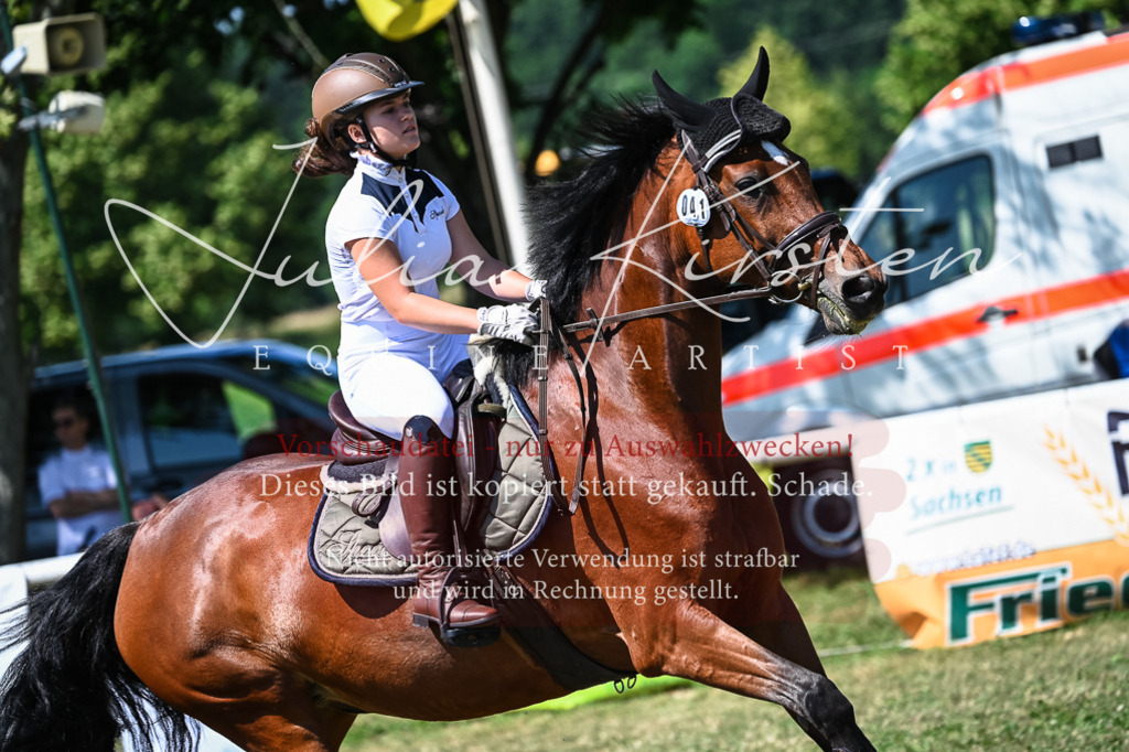 DSC_1200 | Pferde- und Turnierfotografie in Westsachsen. Pferdeportraits, Auftragszeichnungen und intuitive Kunst.