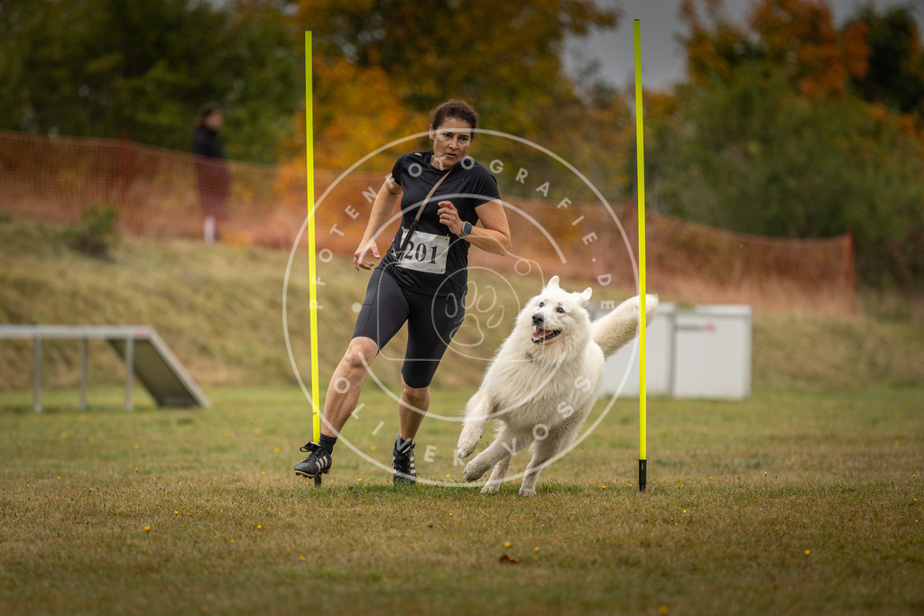 Pfotenfotografie_DV3A1956 | Hundefotografie, Tierfotograf, Pfotenfotografie, Fotoshooting Hund, Hunde Portrait, Hundesport, Hundeportraits, Heideshooting, Hunde, Sportfotograf, Hundefotograf, Turnierhundsport, THS,  - Realisiert mit Pictrs.com