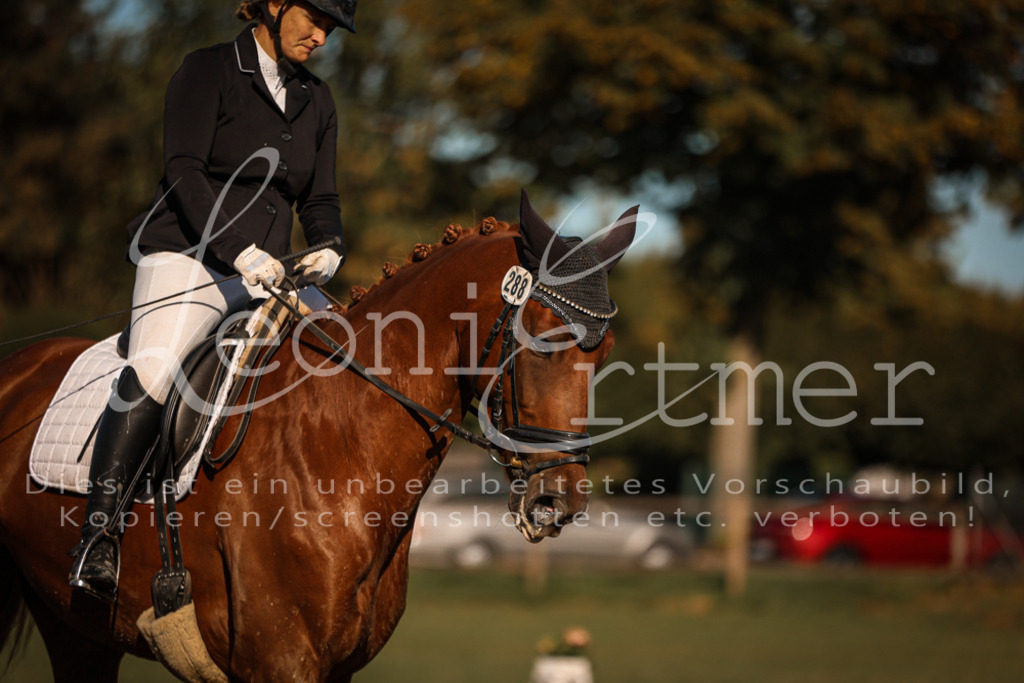 13.SoDrA100311 | Leoni Ertmer Photography - Realisiert mit Pictrs.com