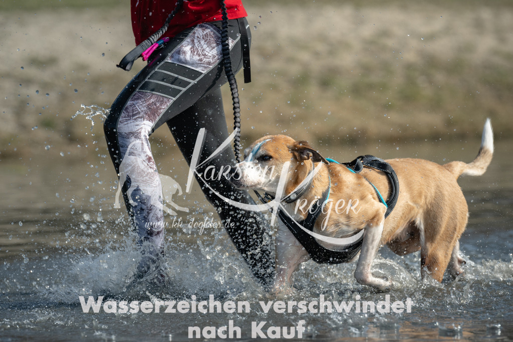 1243_ZZ91683 | kk-dogfotos