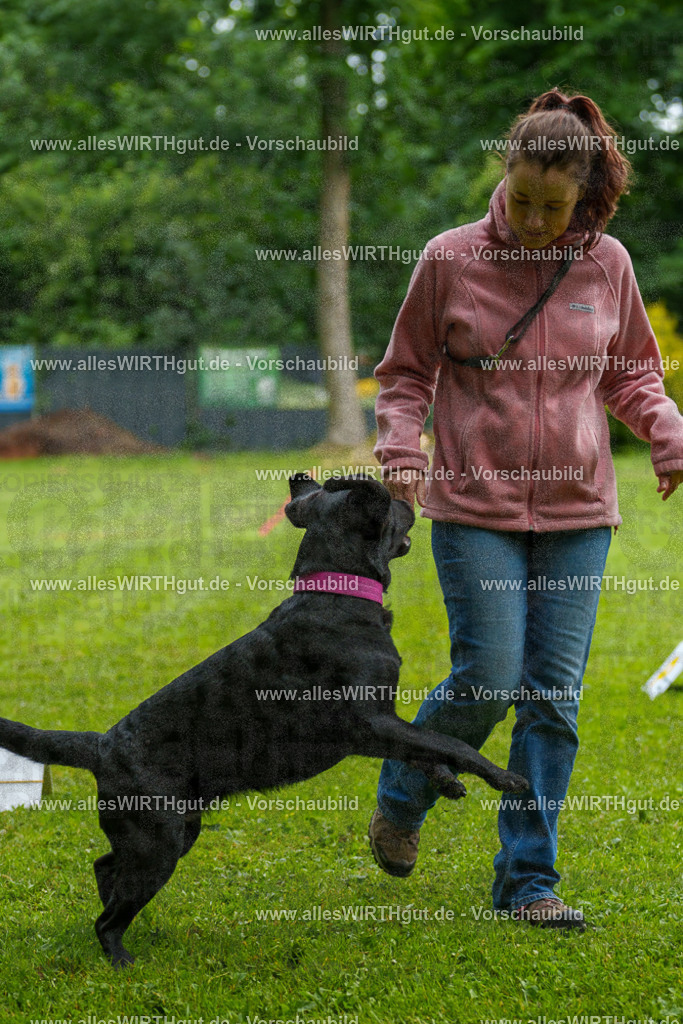 @allesWIRTHgut_Tierfotografie - www.allesWIRTHgut.de - 7R503229 | Professionelle Tierfotografie in Mönchengladbach von Daniel Wirth (allesWIRTHgut). Liebevolle & natürliche Bilder von Hunden & Katzen für unvergessliche Erinnerungen.