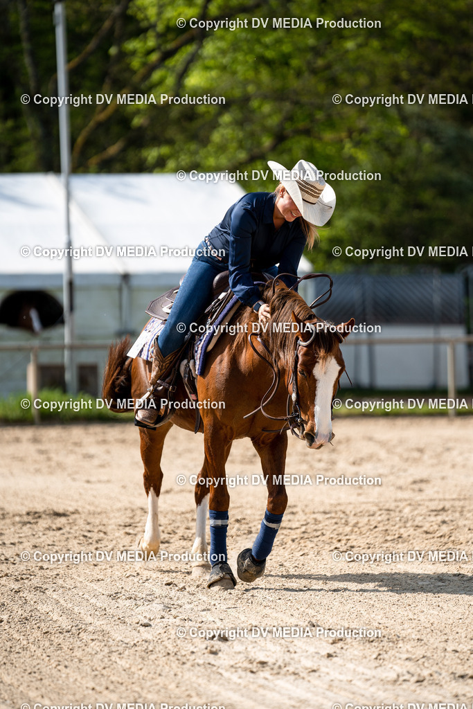 Heiligenwald Tag 2-1044 | dv-media-shop - Realisiert mit Pictrs.com