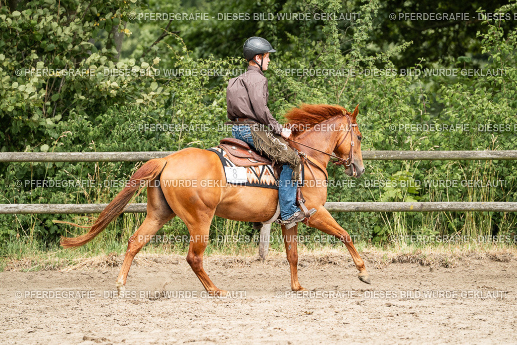 DSC01397 | Pferdegrafie